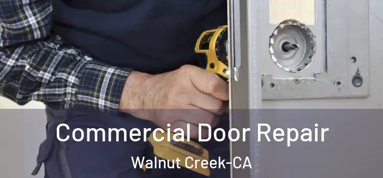 Commercial Door Repair Walnut Creek-CA