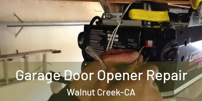  Garage Door Opener Repair Walnut Creek-CA