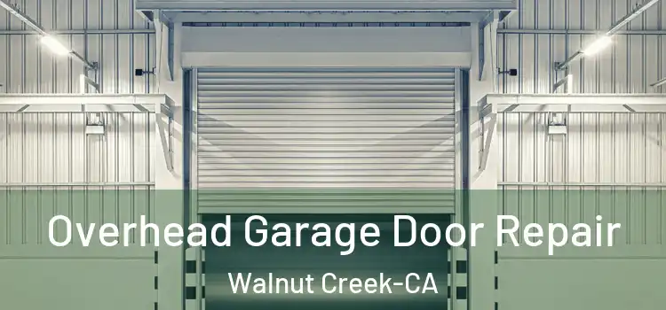  Overhead Garage Door Repair Walnut Creek-CA
