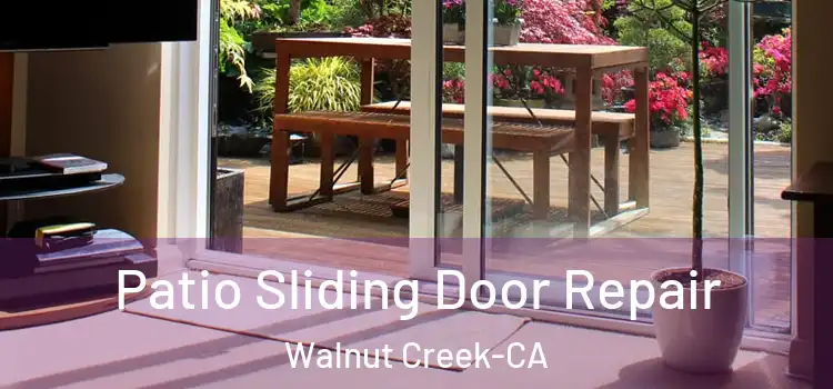  Patio Sliding Door Repair Walnut Creek-CA